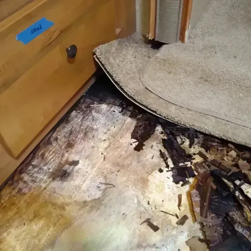 Best Wood Floor Water Damage Service in Huntington, VA